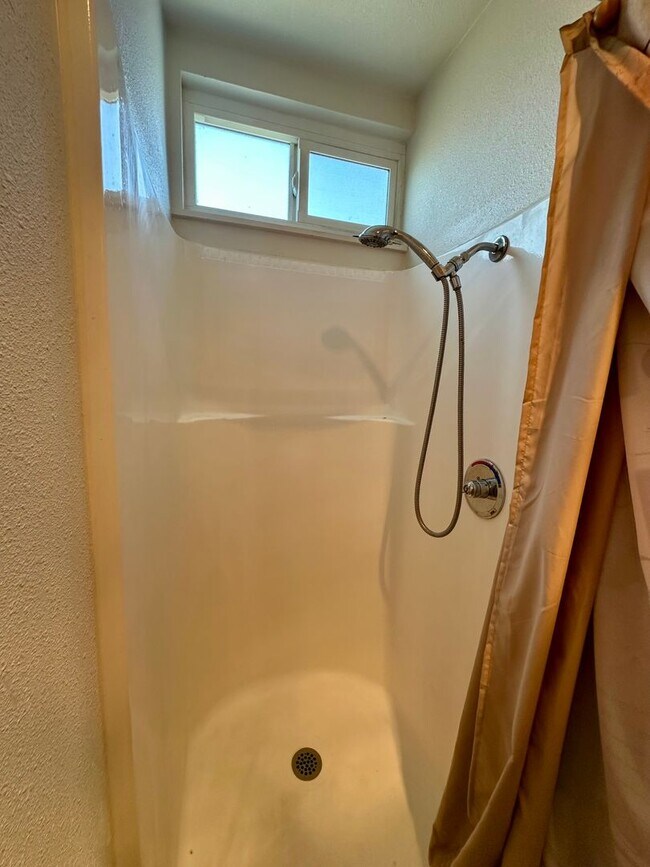 Building Photo - Private oasis in Oak Park