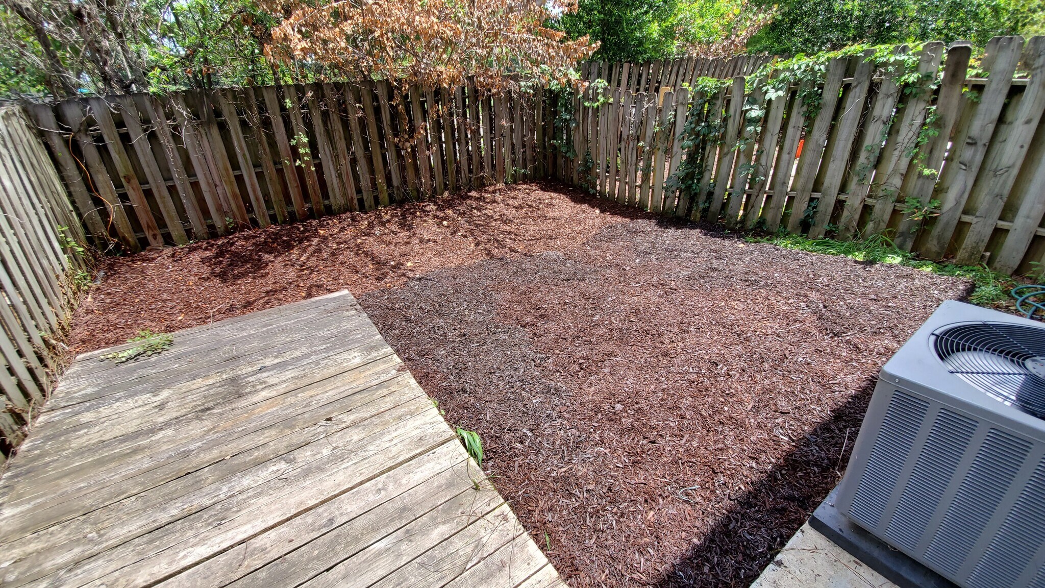 Backyard - 2409 Farmstead Cir