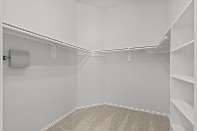 Building Photo - 12850 Pecan Shores Dr