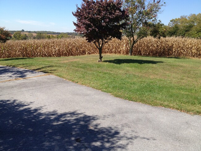 Driveway - 6245 Iron Bridges Rd