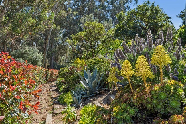 Building Photo - 32 Marin Bay Park Ct