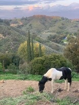 Building Photo - 22252 Alta Dr