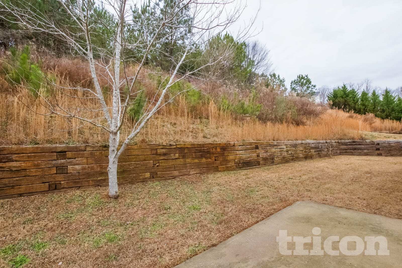 Building Photo - 4247 Gray Raptor Ct