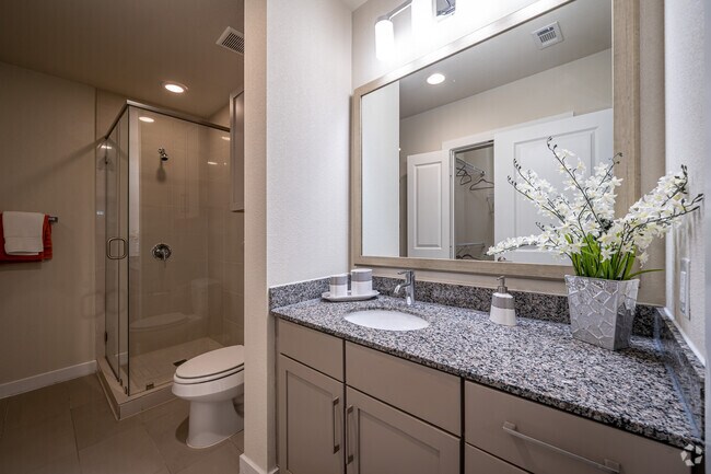 2900 West Dallas Montrose Apartments Houston Tx Apartment Finder