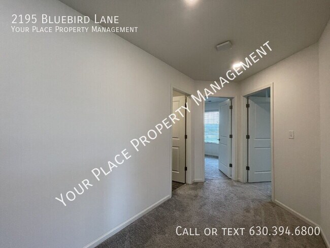Building Photo - 2195 Bluebird Ln