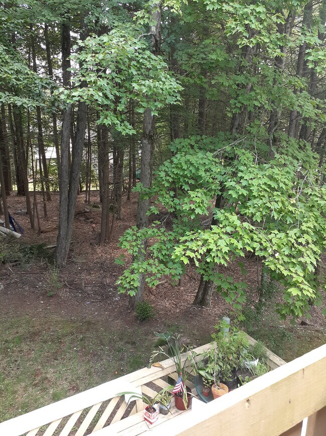 Nice location with some space by the house - 20 Elizabeth Way