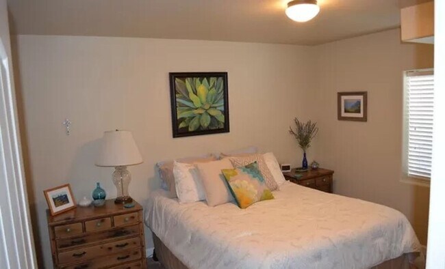 Building Photo - Beautiful 4 Bedroom Home in Desirable Springs Ranch Area!