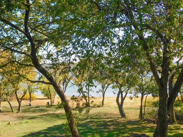 Building Photo - 558 Jay St