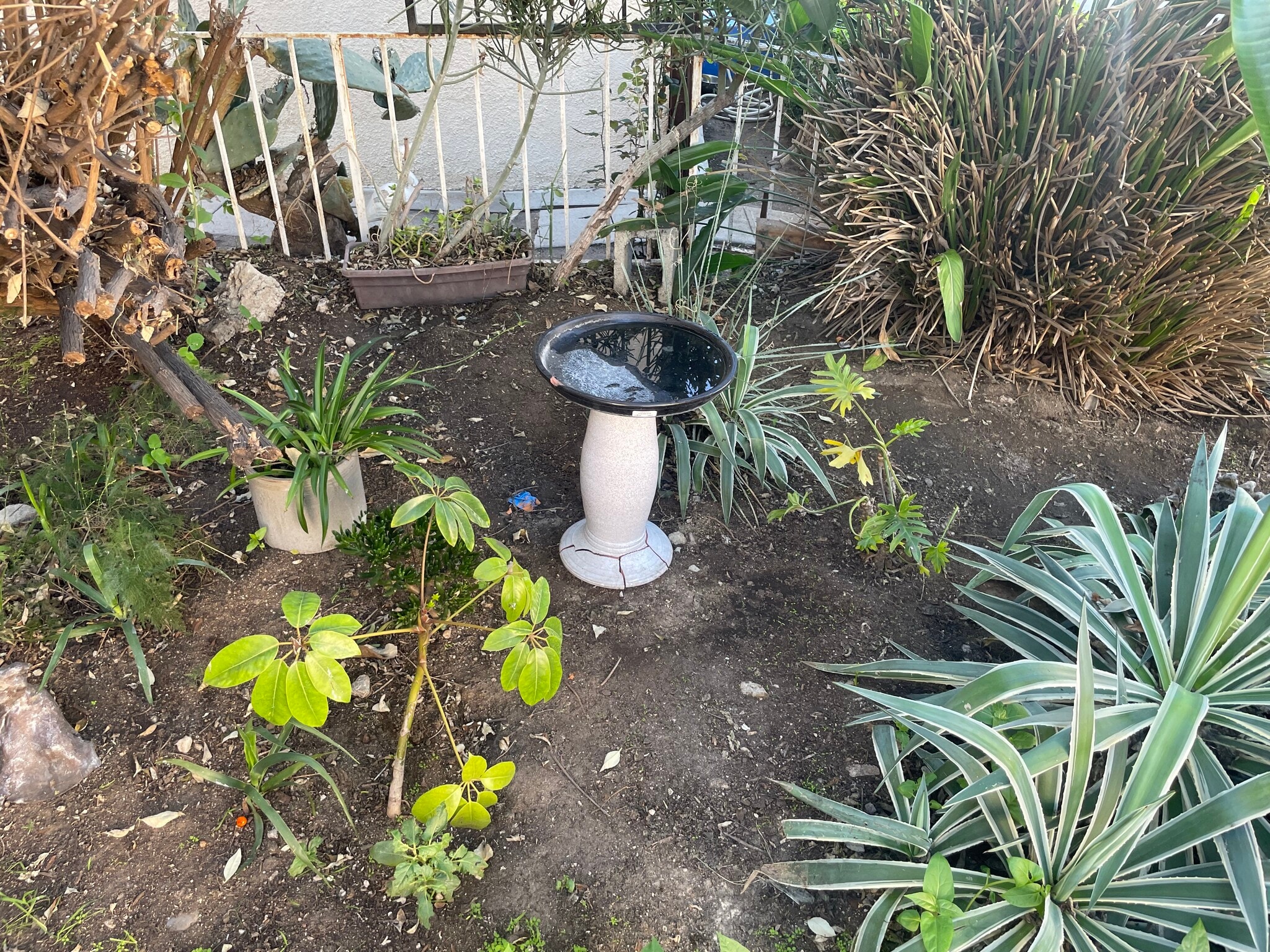 Garden - 5362 Monroe St