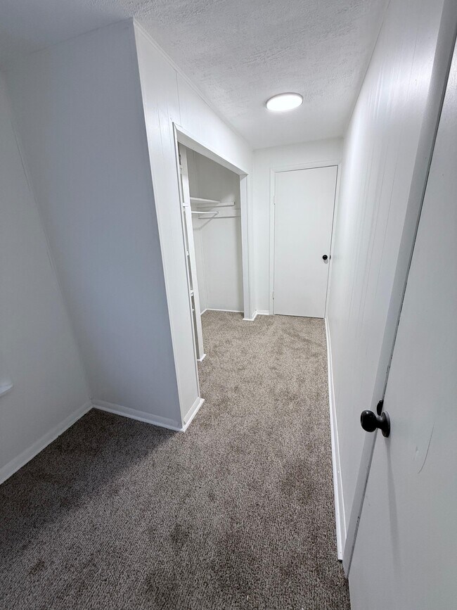 Building Photo - 537 McCully St