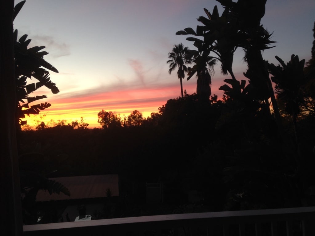 View from the deck - 4770 55th St