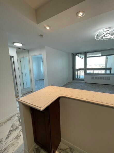 Building Photo - 1255 N Sandburg Ter