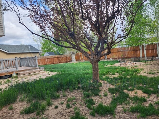 Building Photo - Charming 3 Bedroom Home in Laramie, WY