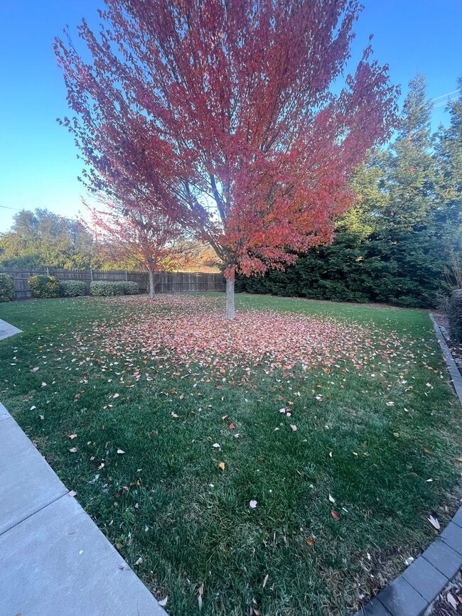 Building Photo - NICE HOME IN GRANITE BAY!!