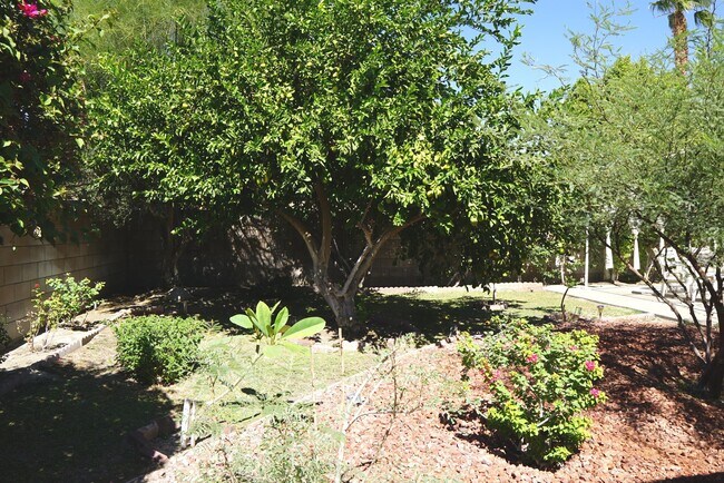 Building Photo - 68120 Tachevah Dr