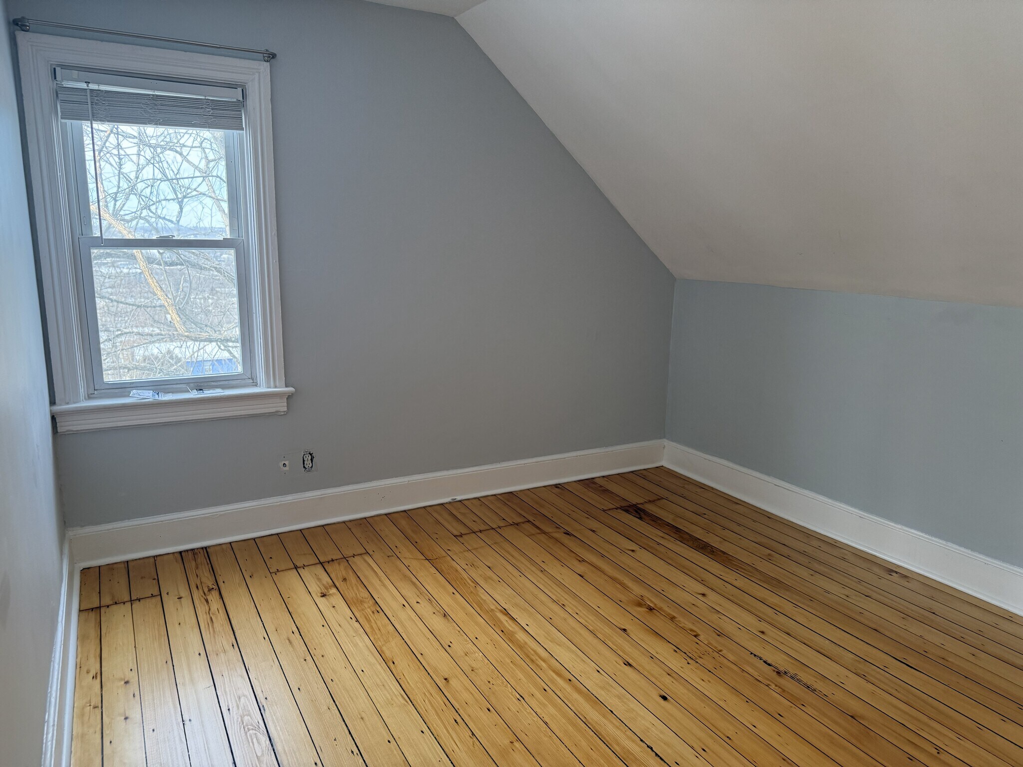 BR 1 (~165 SF) - 16 Tecumseh Street