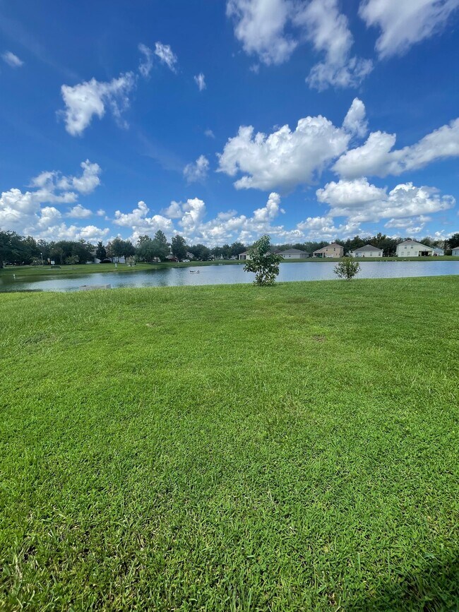 Building Photo - 4373 Spring Blossom Dr