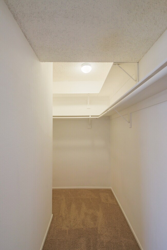 Building Photo - Beautiful Tri-Level 2BD + BONUS ROOM 3BA T...