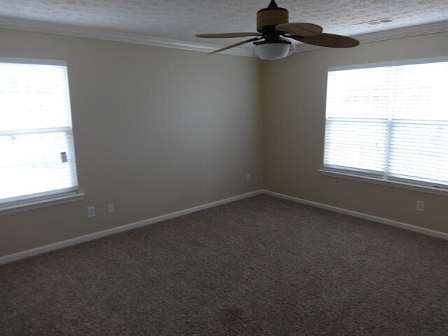 Building Photo - 165 Ilex Dr