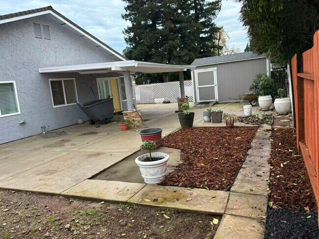 Building Photo - 6801 Olive Tree Way