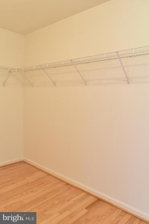 Building Photo - 2542 Banshire Dr
