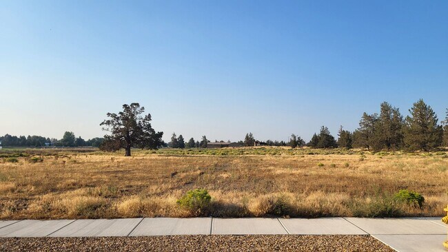 Building Photo - 4 BR/2.5 BA Single-Level home at Trailside
