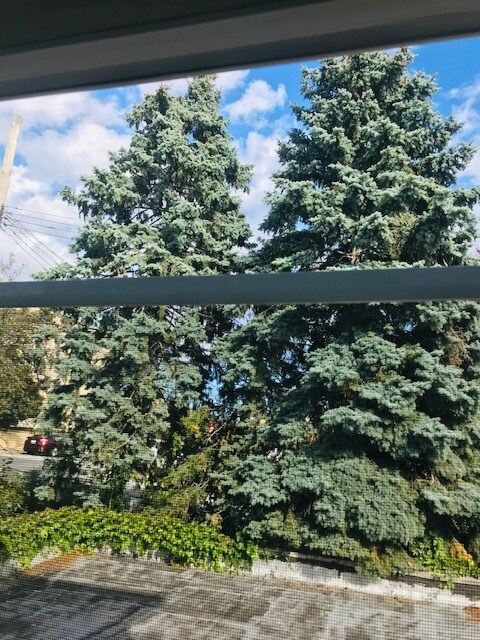 Building Photo - 62 64th St