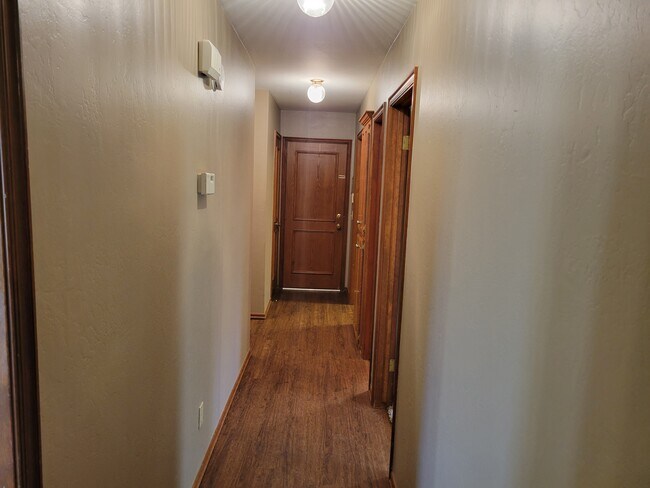 Vinyl floors in the living room, hallways, and Master bedroom. - 921 Blue Ridge Dr