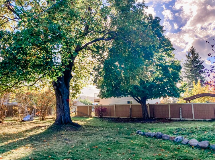 Garden space and huge trees! - 414 East 2nd Ave