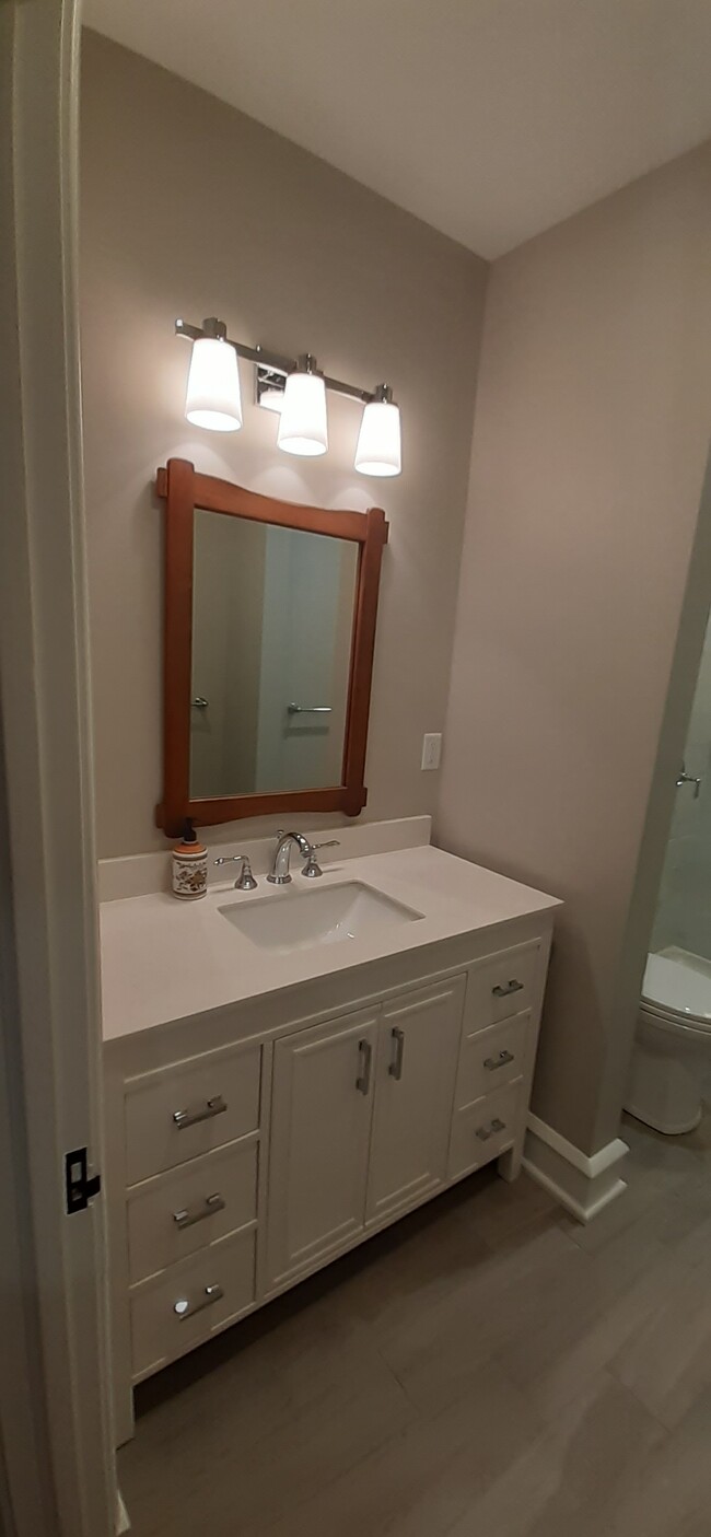 Guest Bathroom sink - 2902 Lake Powell Rd