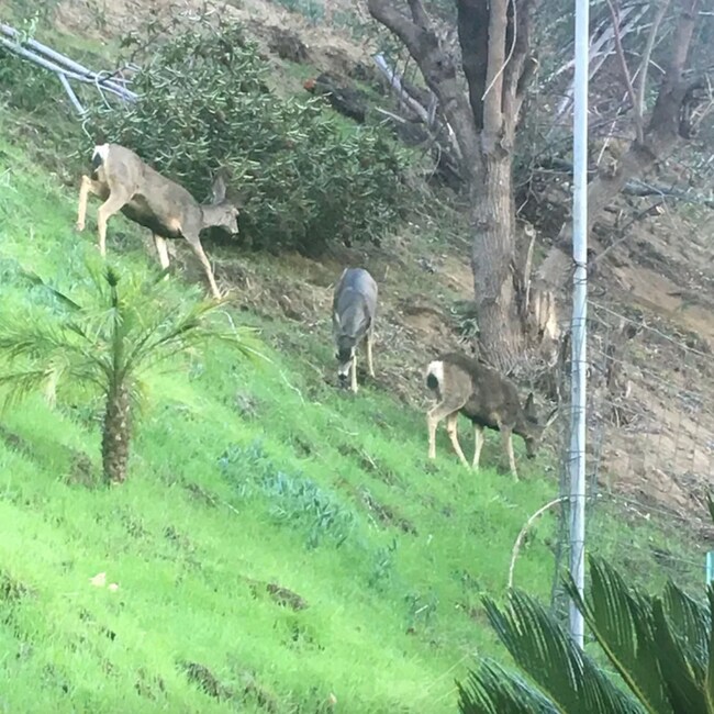 Building Photo - 1907 Maginn Dr