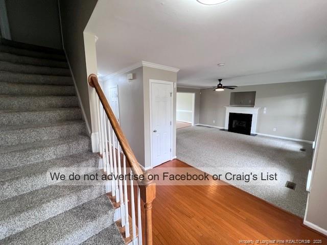 Building Photo - 806 Danelaw Dr