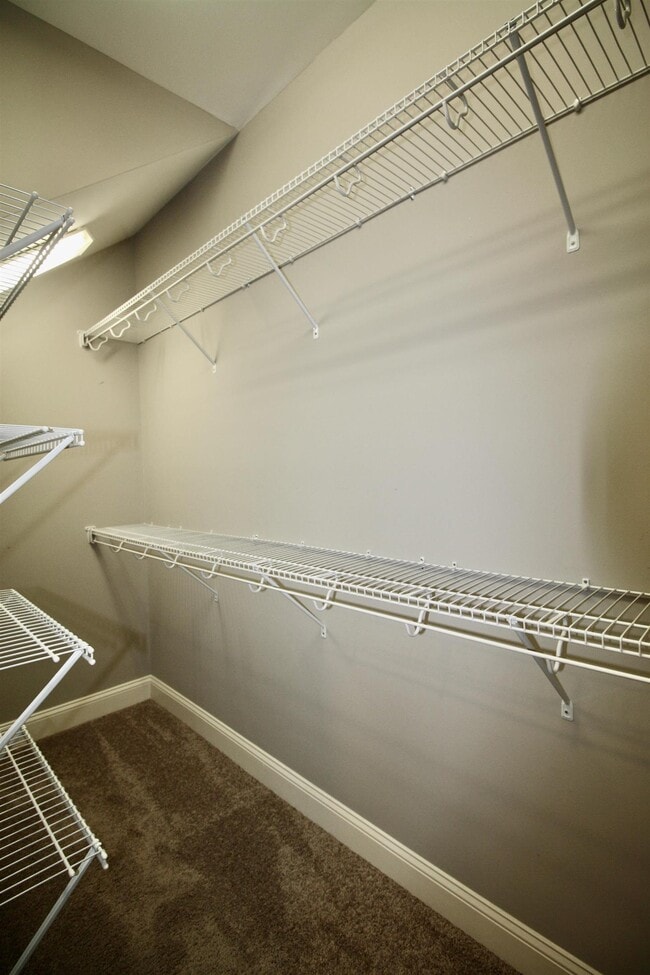 Building Photo - 147 Pinebranch Ct