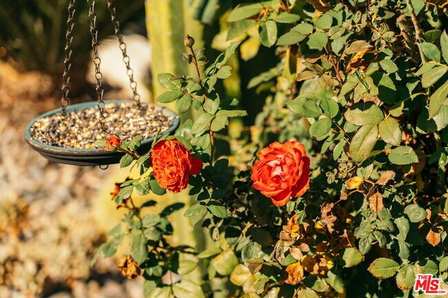 Building Photo - 3311 Minto Ct