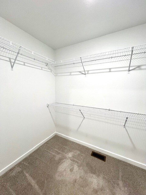 Master Walk-In Closet - 800 Hoffman Hills Blvd