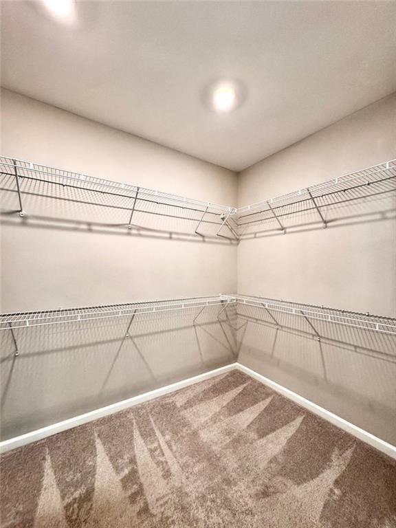 Building Photo - 4316 Waxwing St