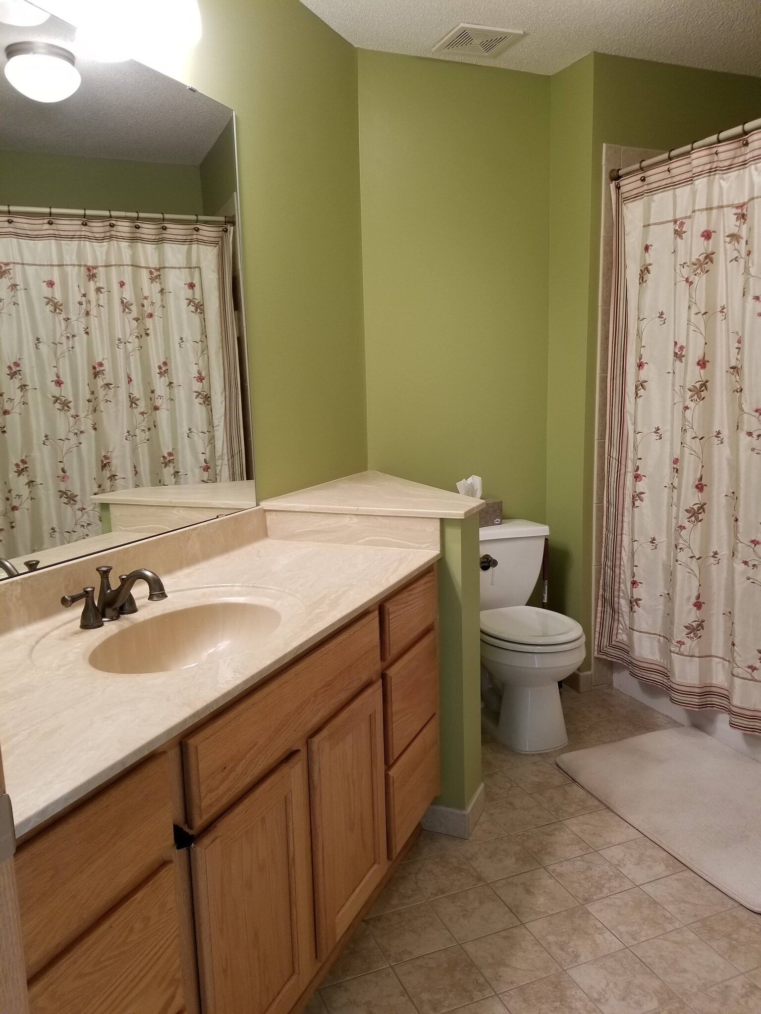 Main bathroom - 9719 Xenium Lane N