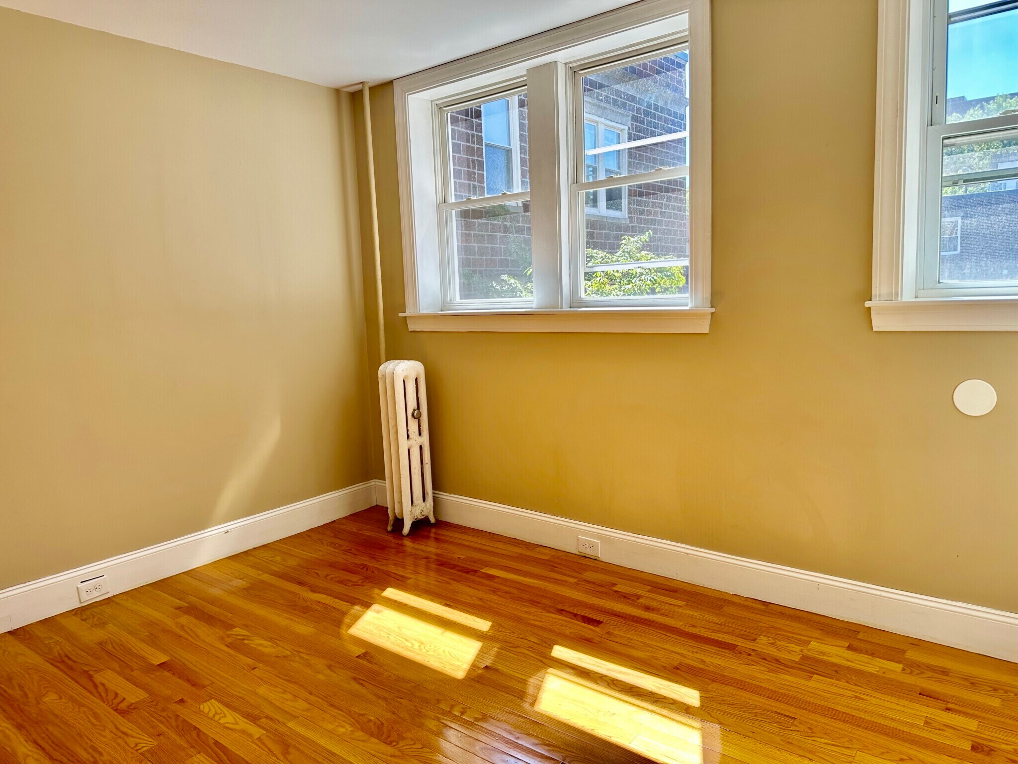 Building Photo - 74 Egmont St