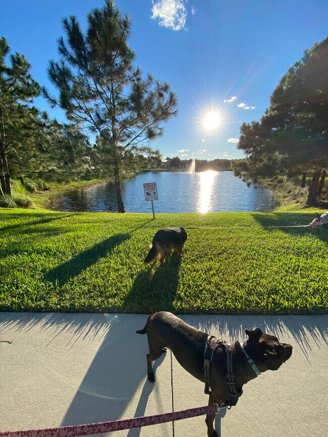 Building Photo - 7033 Butterfly Ct