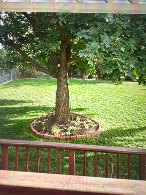 Building Photo - 4120 E Congress Ave