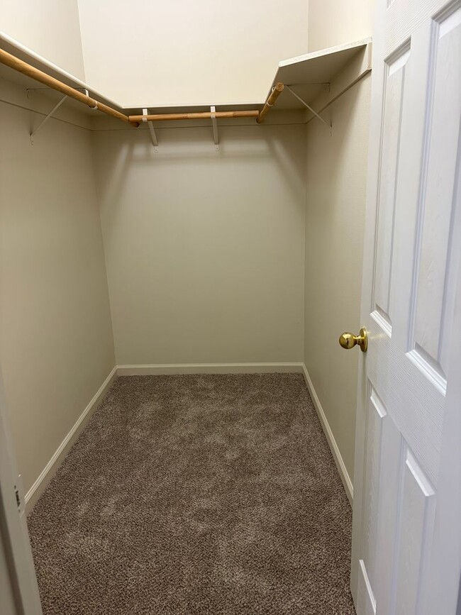 Building Photo - Spacious Single Story Home with Large Private Backyard & Covered Patio