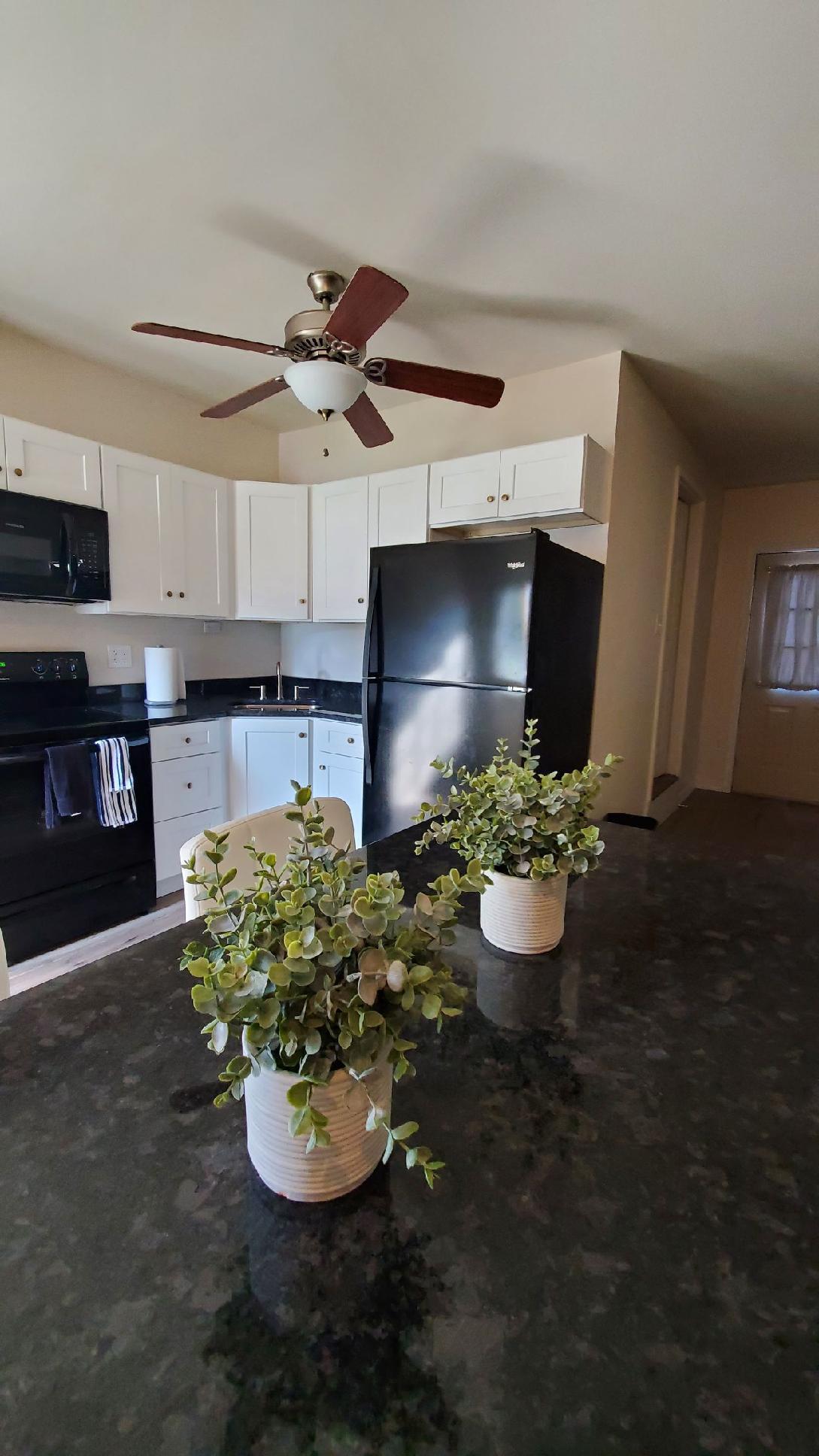 Building Photo - 243 York Rd