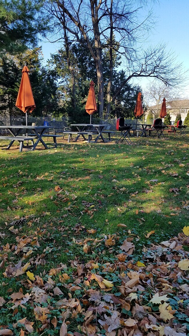 Picnic/BBQ Area - 605 Grove St