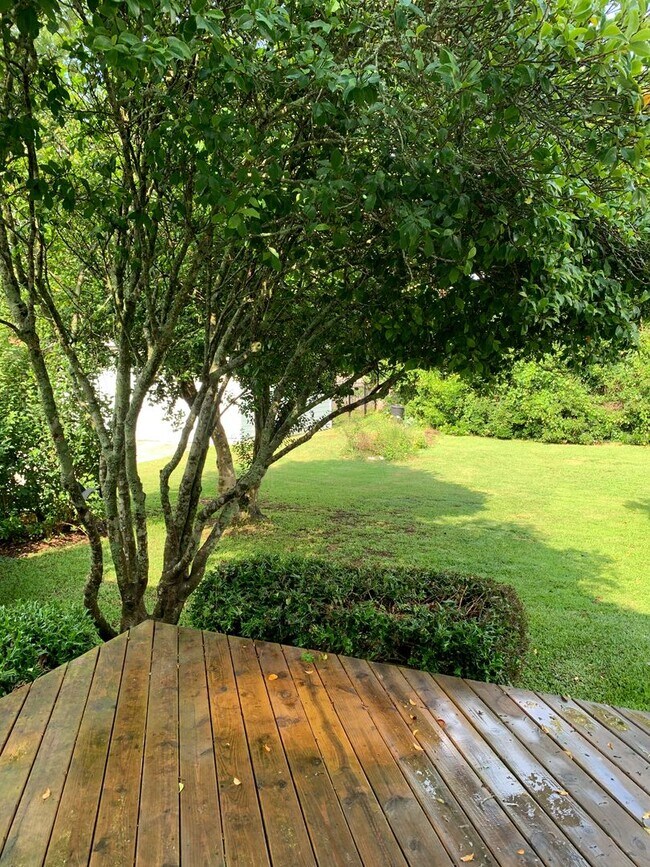 Building Photo - Beautiful Historic 3 Bedroom 2 Bath House on Colonial Drive