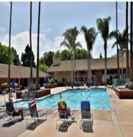 Pool - 8856 Sutter Cir