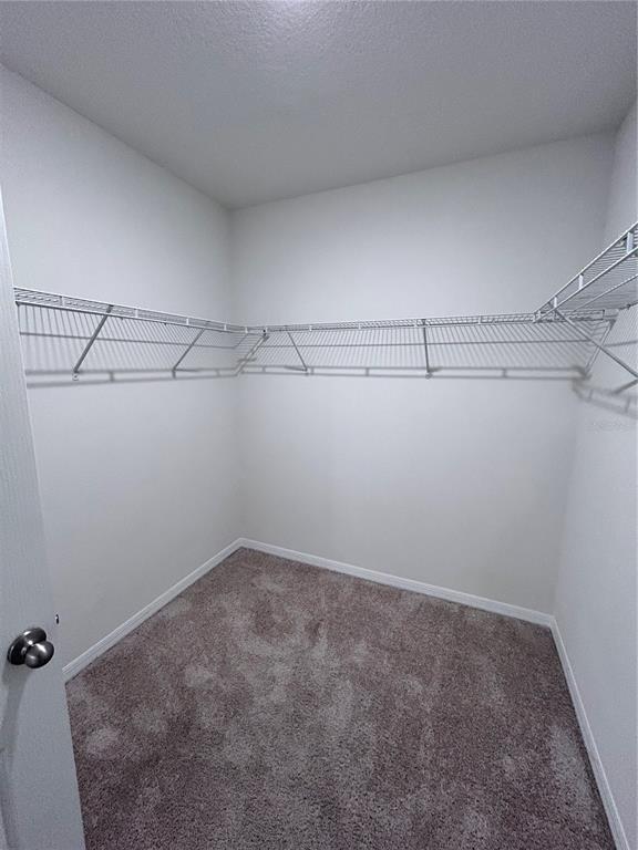 Building Photo - 2775 Sunnyvale St