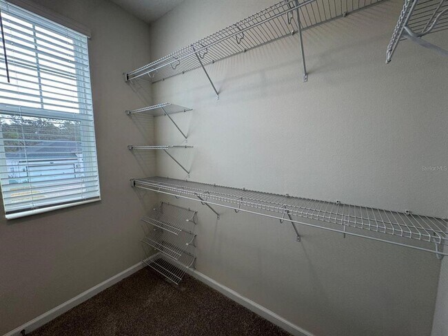 Building Photo - 342 Lady Palm St