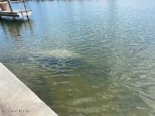 Building Photo - 146 Bimini Rd