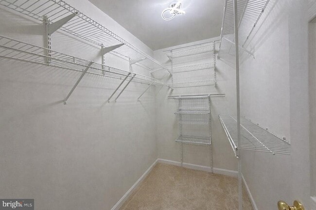 Building Photo - 1191 Cypress Tree Pl