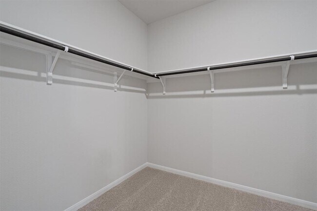 Building Photo - 313 Timber Brook Dr